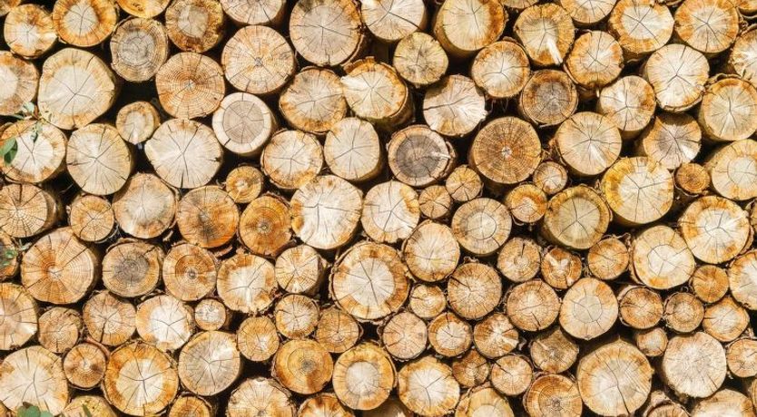 Photo of Lodge 6 - Hot Tub Lodge