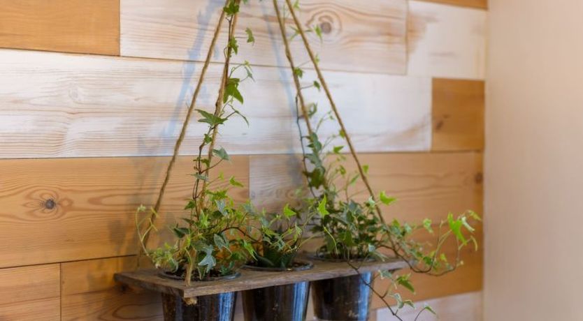 Photo of Tintagel Sea view