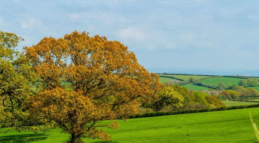Photo of Lodge 4 - Hot Tub Lodge