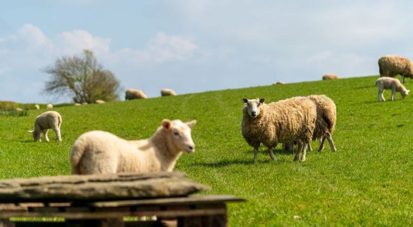 Photo of Lodge 4 - Hot Tub Lodge