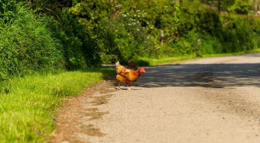 Photo of Lodge 4 - Hot Tub Lodge