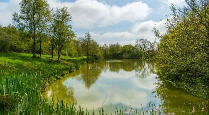 Photo of Lodge 4 - Hot Tub Lodge