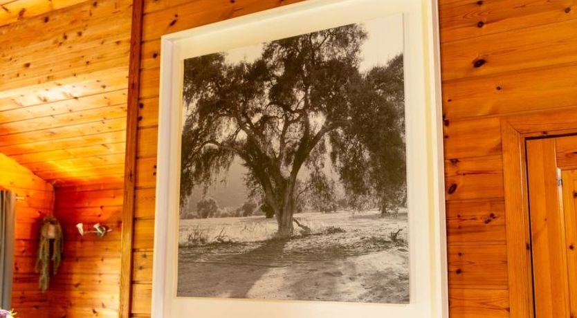 Photo of Lodge 4 - Hot Tub Lodge