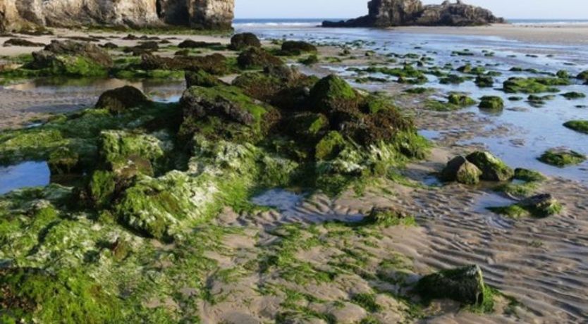 Photo of Hot Tub Lodge 2