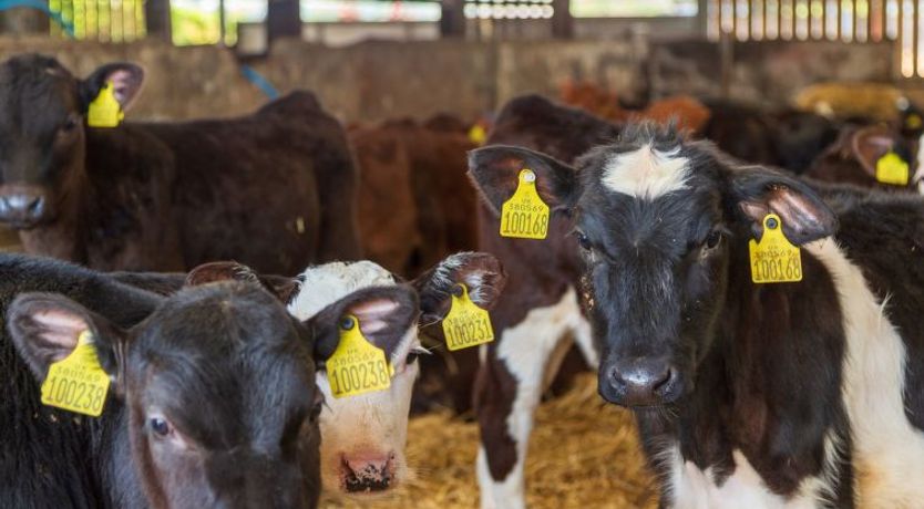 Photo of Lodge 3 Hot Tub