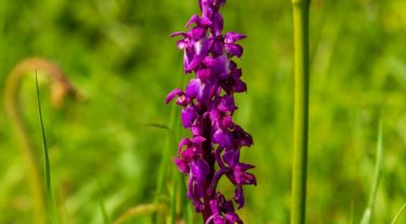 Photo of Lodge 3 Hot Tub