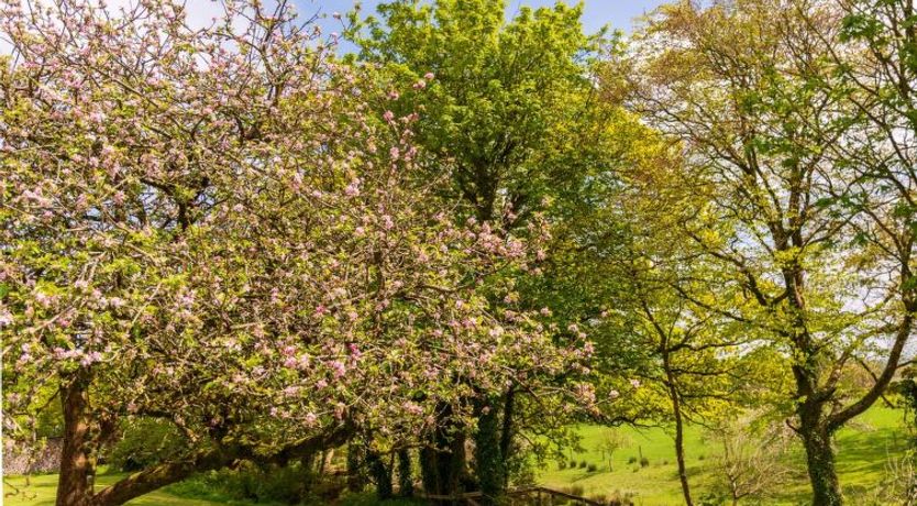 Photo of Lodge 3 Hot Tub