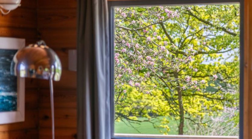 Photo of Lodge 3 Hot Tub