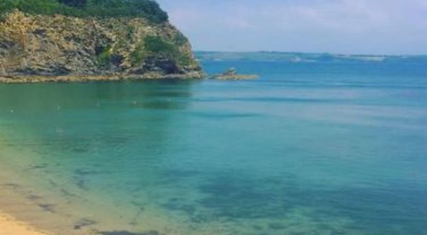 Photo of Marshmallow House