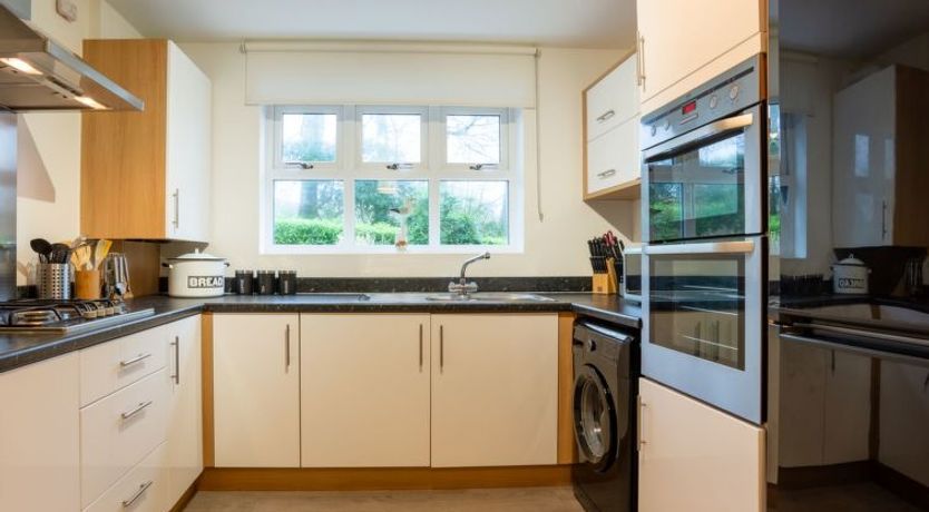 Photo of Marshmallow House