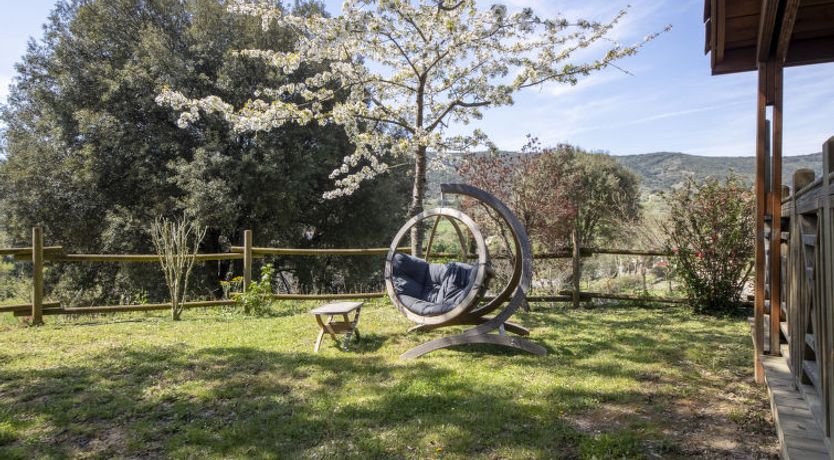 Photo of Domaine de Sévenier Chêne Blanc