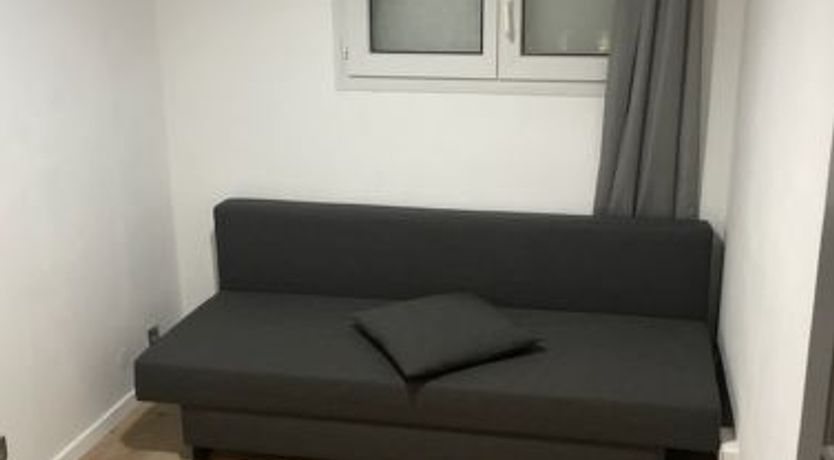 Photo of Les myrtilles