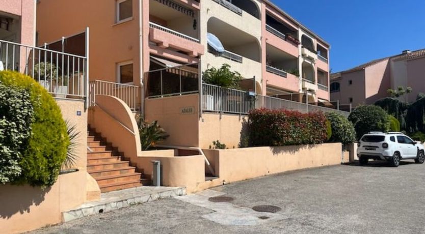 Photo of Les myrtilles