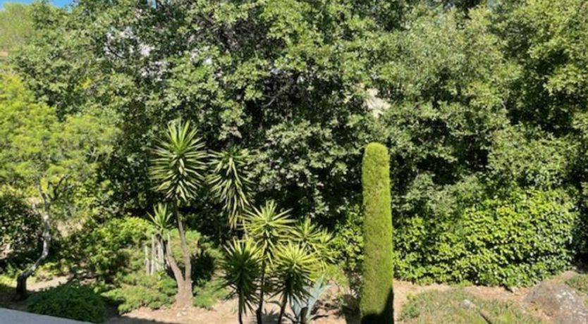 Photo of Les myrtilles