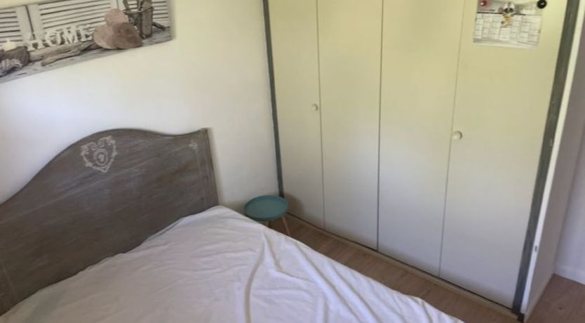 Photo of Les myrtilles