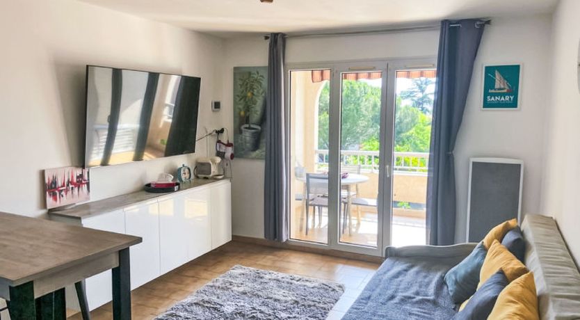 Photo of Les myrtilles