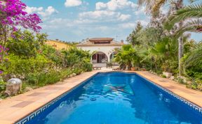 Photo of Paraiso