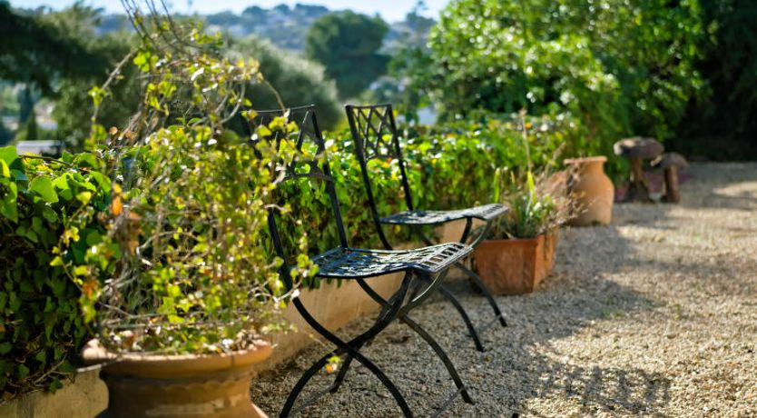 Photo of El Cachirulo