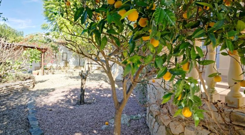 Photo of El Rinco de la Felicidad