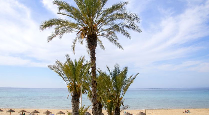 Photo of Calpemar 04 Apartment 4