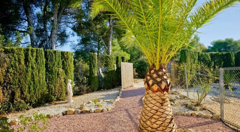 Photo of Casa Los Caracoles