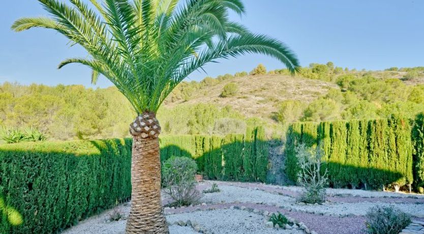 Photo of Casa Los Caracoles