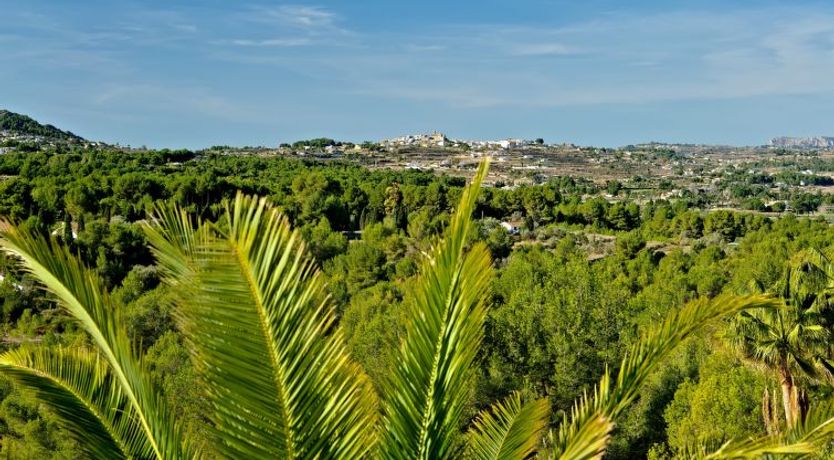 Photo of Casa Los Caracoles