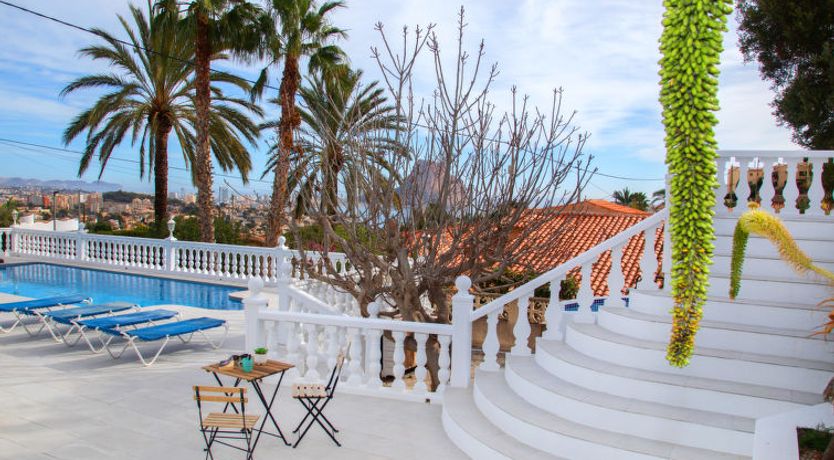 Photo of Estrella Azul