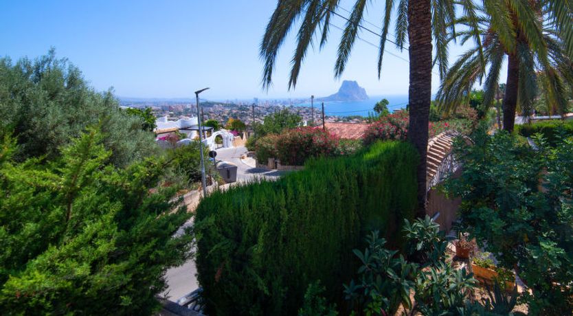 Photo of Estrella Azul