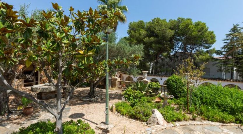 Photo of Les Oliveres