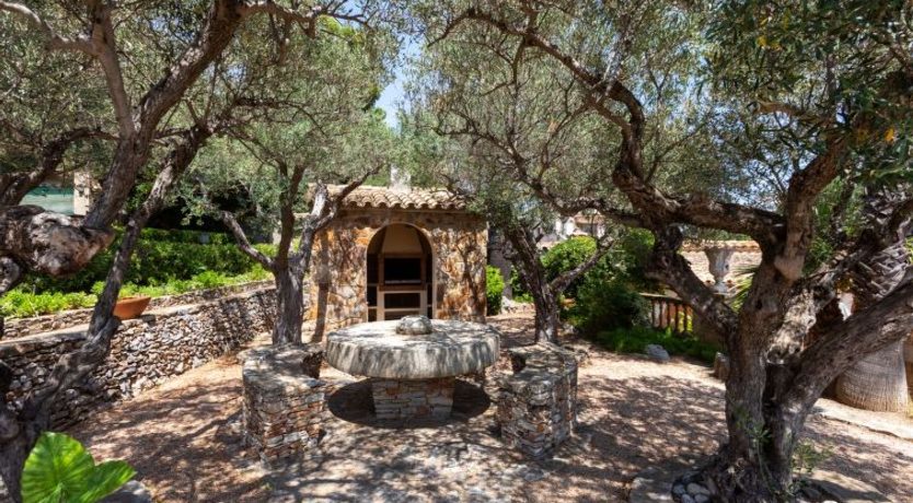 Photo of Les Oliveres