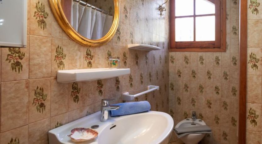 Photo of Les Oliveres