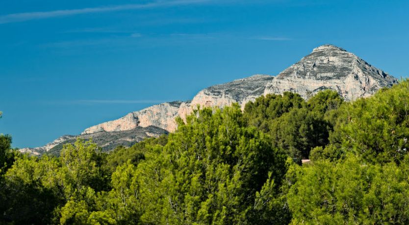 Photo of Villa Carpe Diem