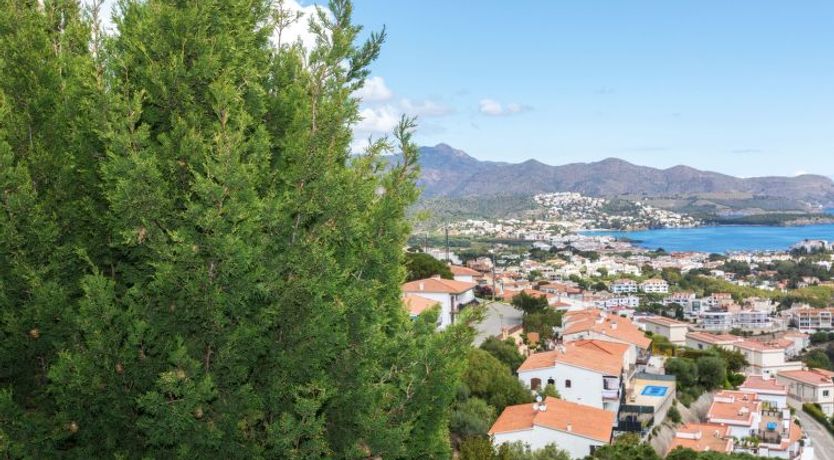 Photo of Gaviotas d'Amunt