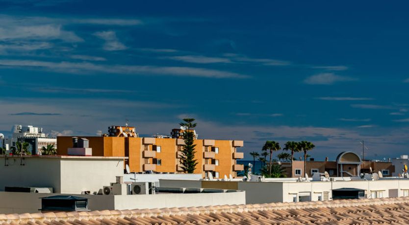 Photo of Jardines del Pla