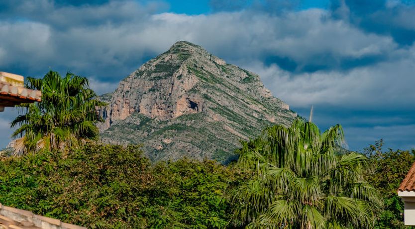 Photo of Jardines del Pla