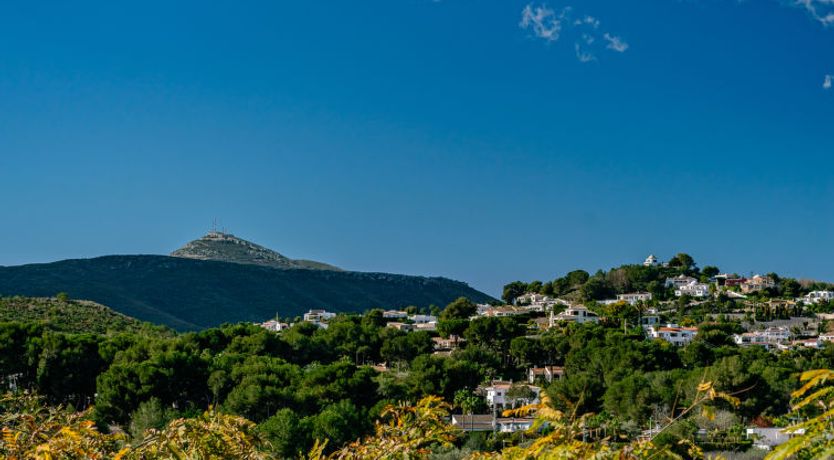 Photo of Jardines del Pla