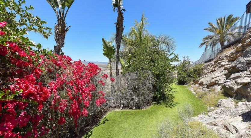 Photo of Las Terrazas 13