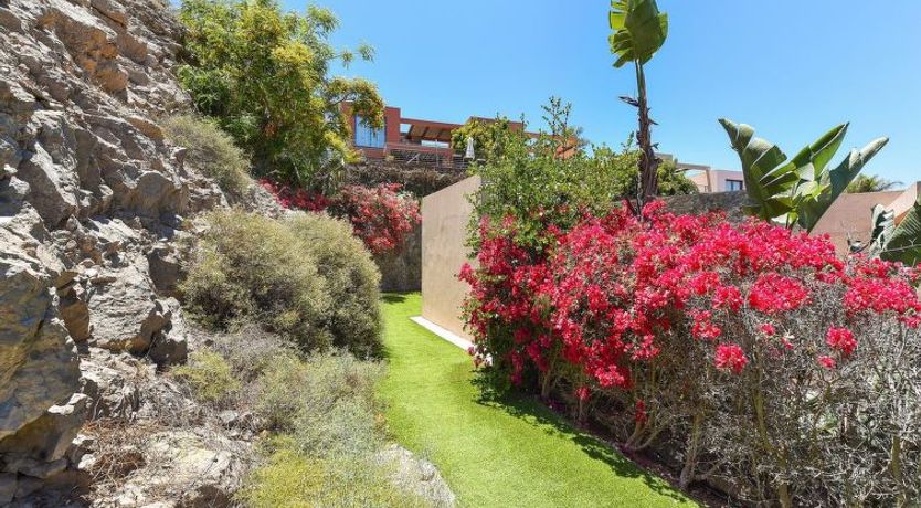 Photo of Las Terrazas 13