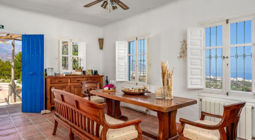 Photo of Camelia Blanca