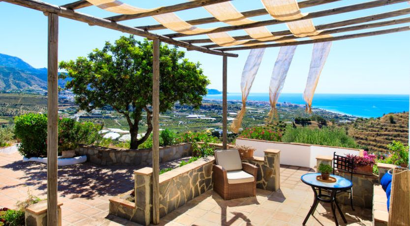 Photo of Camelia Blanca