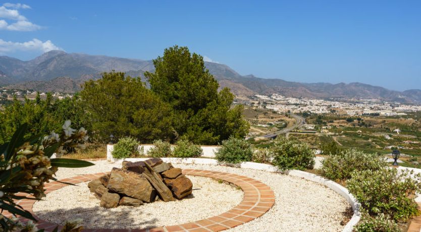 Photo of Camelia Blanca