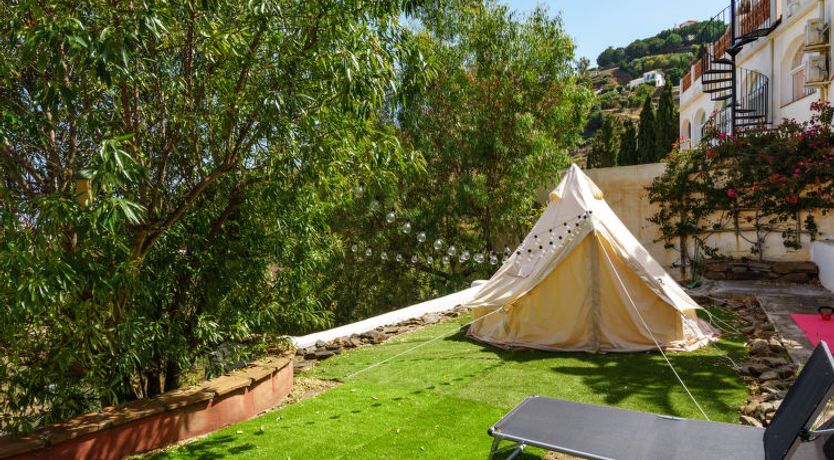 Photo of Camelia Blanca