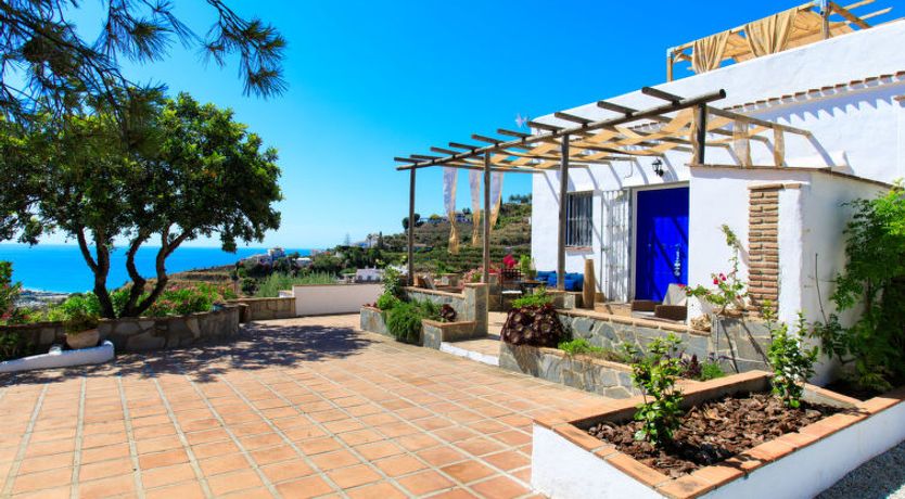 Photo of Camelia Blanca