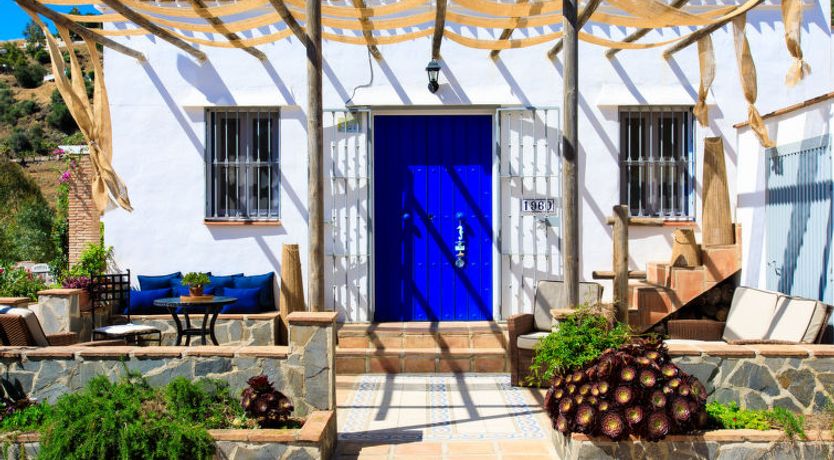 Photo of Camelia Blanca