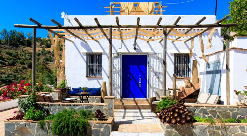 Photo of Camelia Blanca