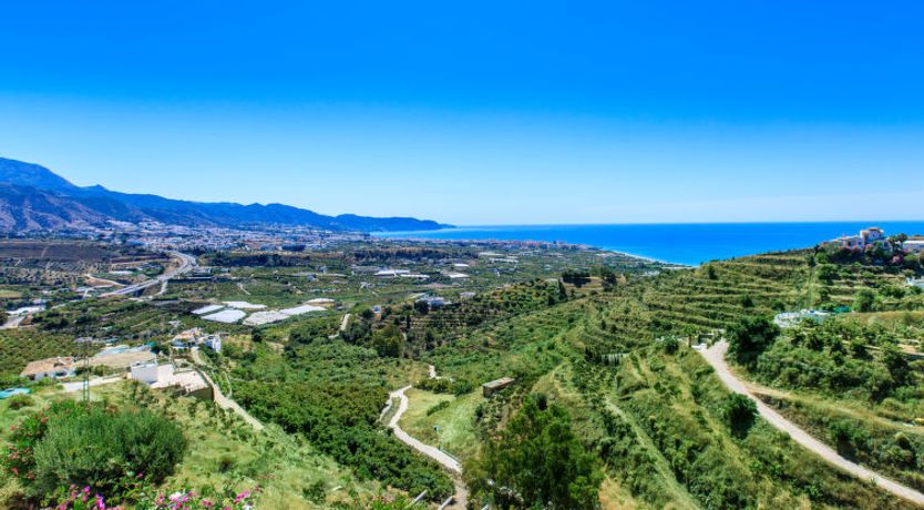 Photo of Camelia Blanca