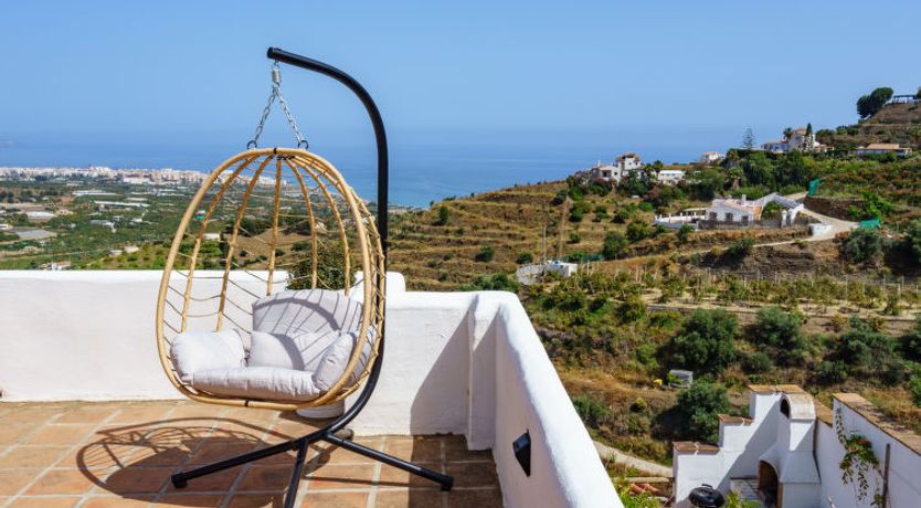 Photo of Camelia Blanca