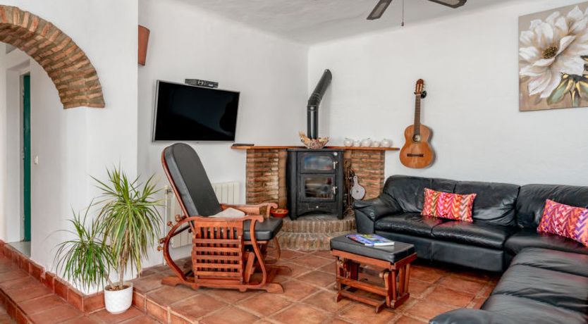 Photo of Camelia Blanca