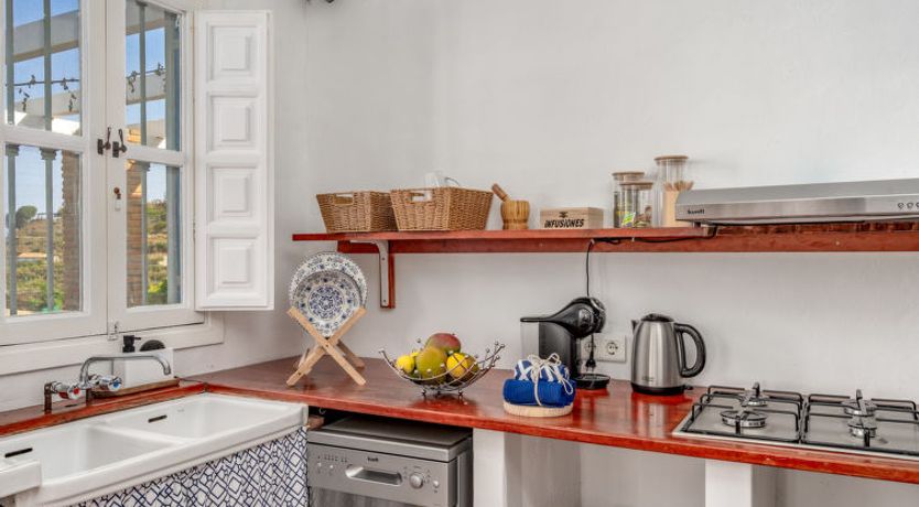 Photo of Camelia Blanca